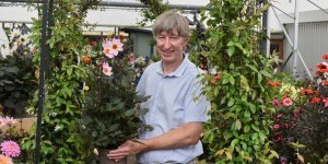 GCA releases 2025 BoT figures