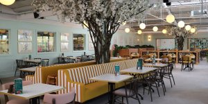 Squire’s posts positive results