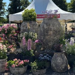 British Garden Centres wins 4 Flower Plant Village Award