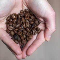 London Coffee Festival returns