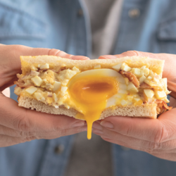 Délifrance releases new sandwich report