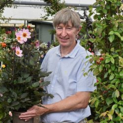 GCA releases 2025 BoT figures