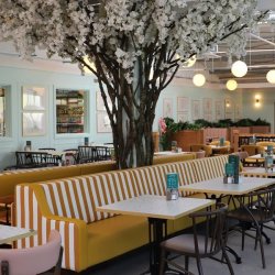 Squire’s posts positive results