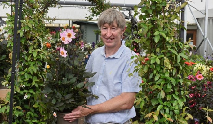 GCA column: 60 not out