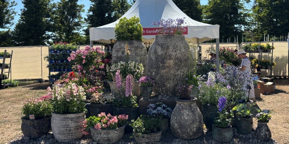 British Garden Centres wins 4 Flower Plant Village Award